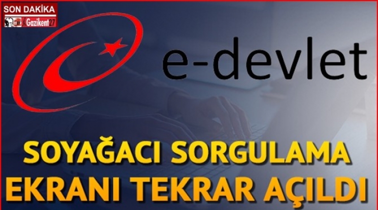 e-Devlet soyağacı sorgulama yeniden hizmette!