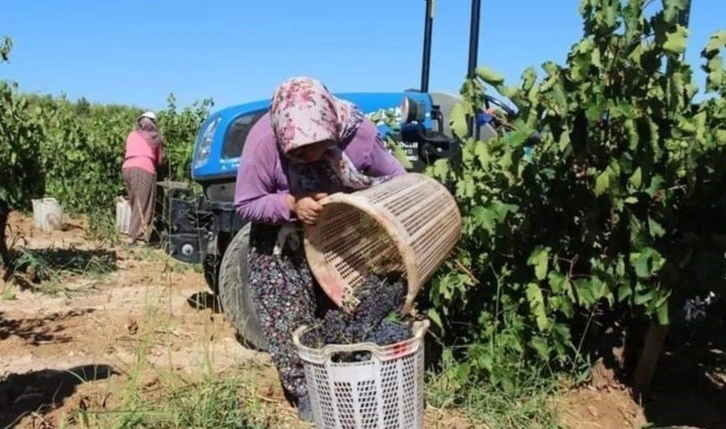 2024 yılıyla ilgili ürün destekleri açıklandı. Üreticiler maliyete dikkat çekti