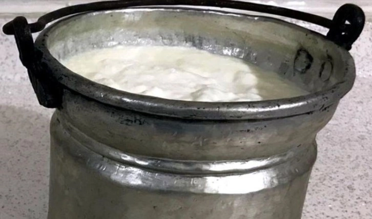 3.500 yıllık mumyalarda kefir peyniri izleri bulundu