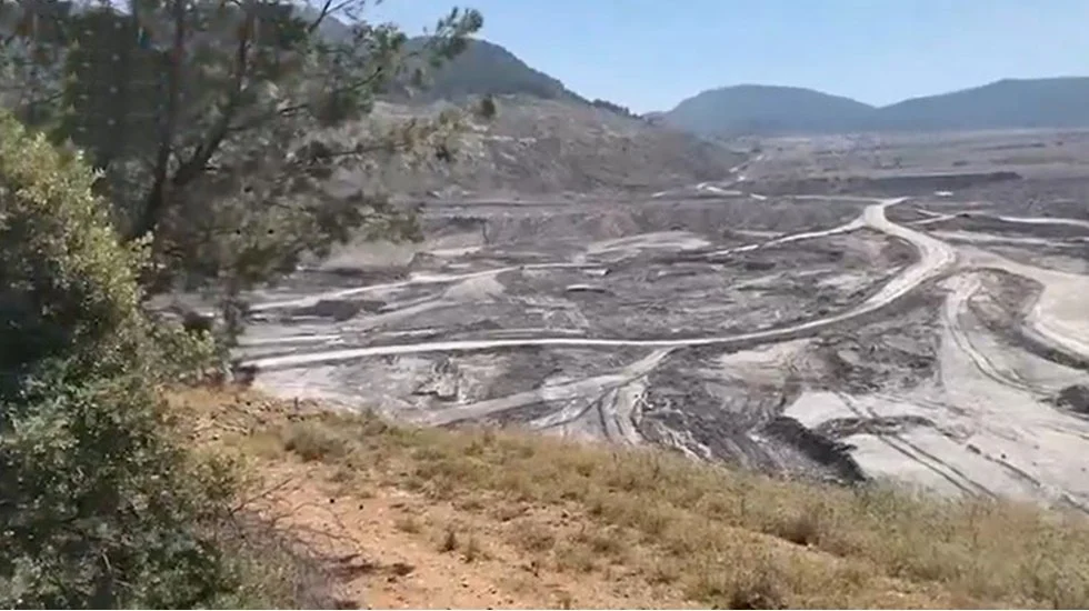 Ağaç kıyımı yapan YK Enerji’ye  TEİAŞ tarafından kapasite mekanizması ödemesi yapıldı