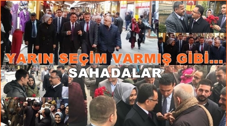 Ak Parti Şahinbey teşkilatı sahaya indi