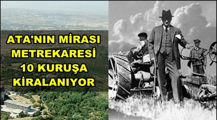 Ata mirasının metrekaresi 10 kuruşa kiralanacak