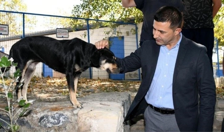 Başkan Günel: Yasa ‘uyutacaksınız’ dese dahi uygulamayız!