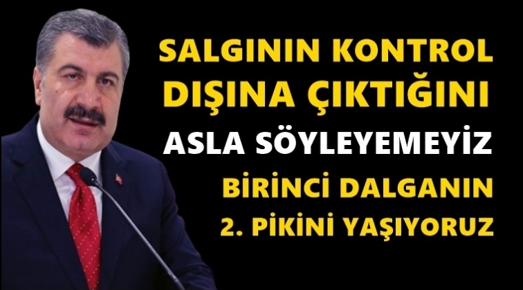 'Birinci dalganın ikinci pikini yaşıyoruz'