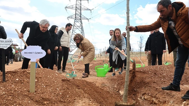 Büyükşehir, 330 bin metrekare alana 17 bin fidan dikti