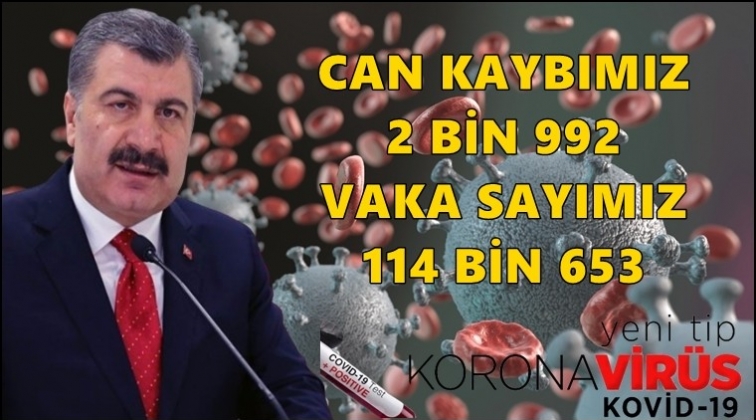 Can kaybımız 2 bin 992'ye yükseldi