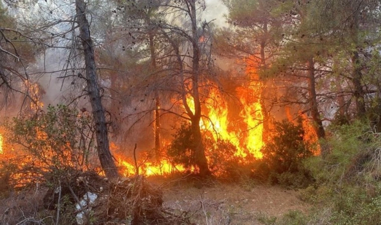 Çanakkale’de orman yangını... Ekipler müdahale ediyor