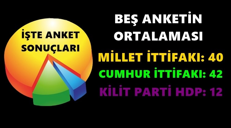 Beş anket şirketinin ortalaması...