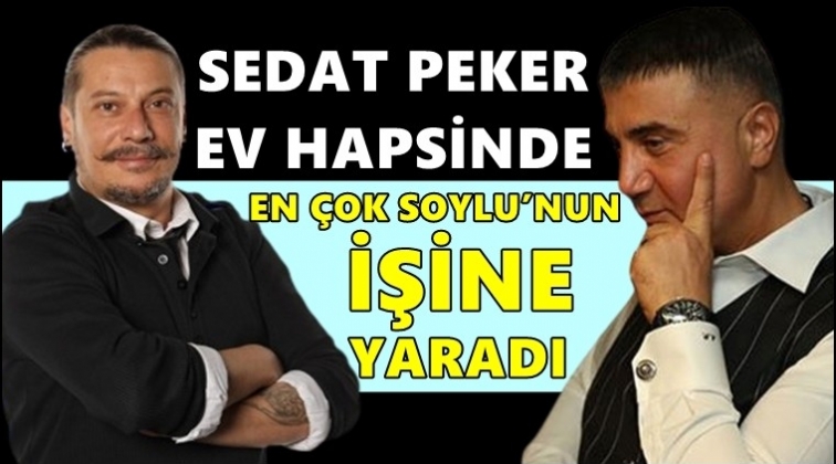 Erk Acarer'den Sedat Peker paylaşımları!