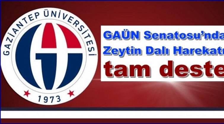 GAÜN Senatosu’ndan Zeytin Dalı Harekatı’na tam destek