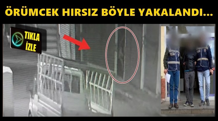 Gaziantep'te örümcek adam gibi hırsız...