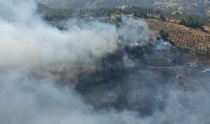 Hatay’da orman yangını