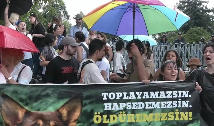 Hayvan hakları savunucularına Meclis önünde polis müdahalesi