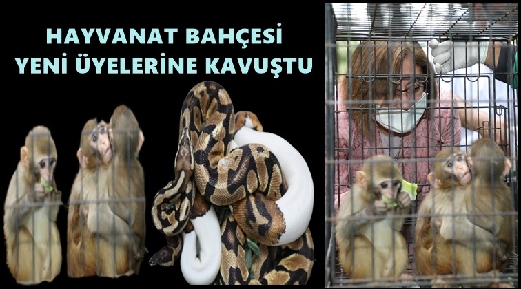 Hayvanat Bahçesi yeni üyelerine kavuştu