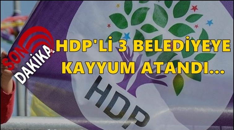 HDP’li 3 belediyeye kayyum atandı!