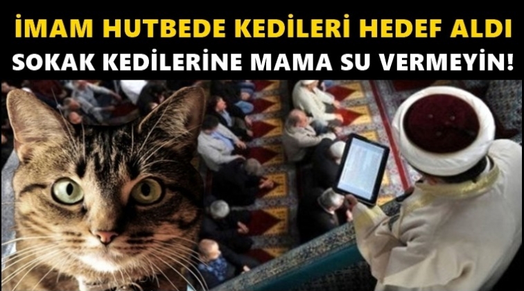 İmam 'kedileri' hedef aldı: Mama, su vermeyin...