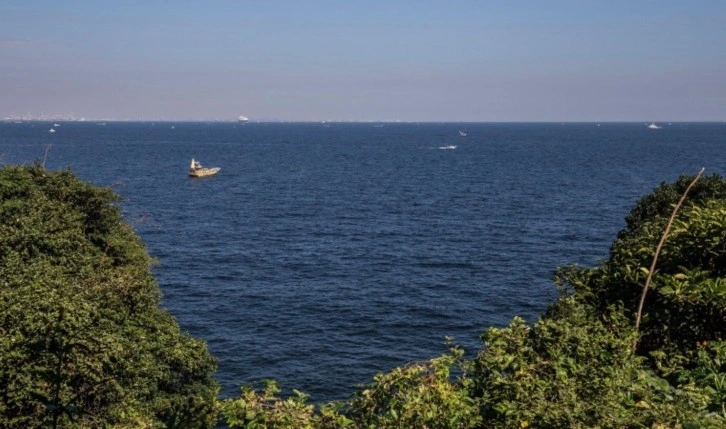 Japonya'da simitle yüzmeye giden kadın, kıyıdan 80 km açıkta kurtarıldı