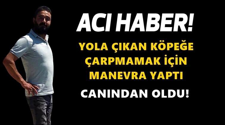 Köpeğe çarpmamak için canından oldu!