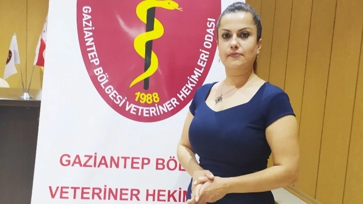 Meltem Peri: Sokak hayvanları tasarısı geri çekilmeli