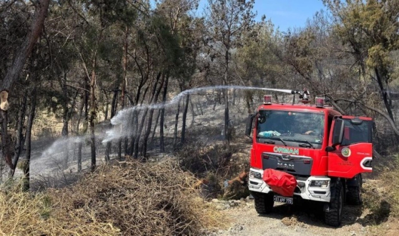 Mersin'de orman yangını: 1,5 hektar alan zarar gördü