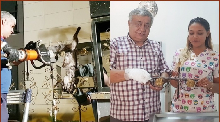 O kedi CAHİDE’nin korumasında