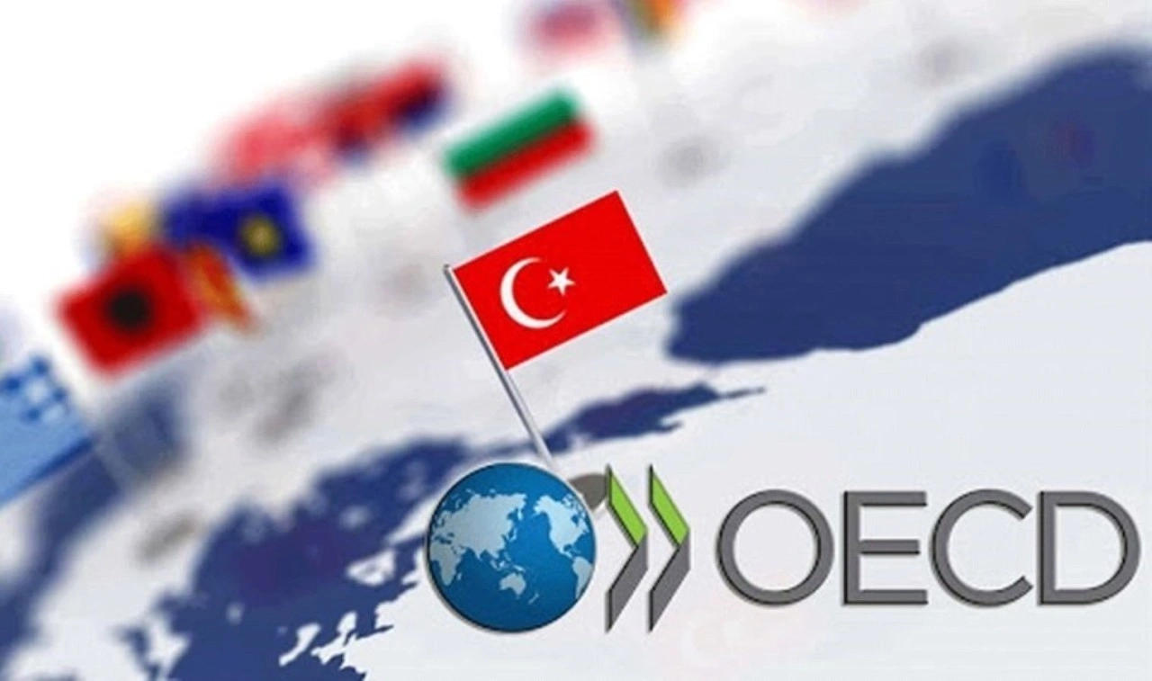 OECD'den 2025 Türkiye ekonomisi büyüme tahmini!