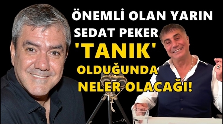 Özdil: Önemli olan Peker 'tanık' olunca neler olacağı!