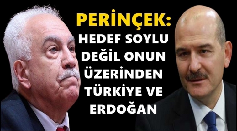 Perinçek'ten Soylu'ya tam destek...