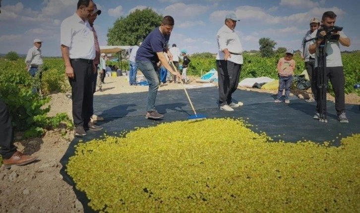 Sadece Türkiye'nin iki ilçesinde yetişiyor:  7 gün kurutuluyor, bütün kış tüketiliyor