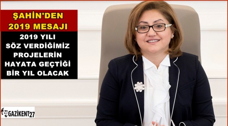 Şahin'den yeni yıl mesajı