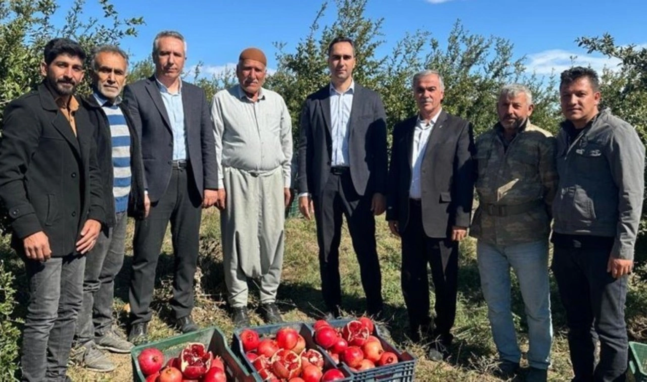 Samsat'ta hasat başladı: 15 bin ton rekolte bekleniyor...