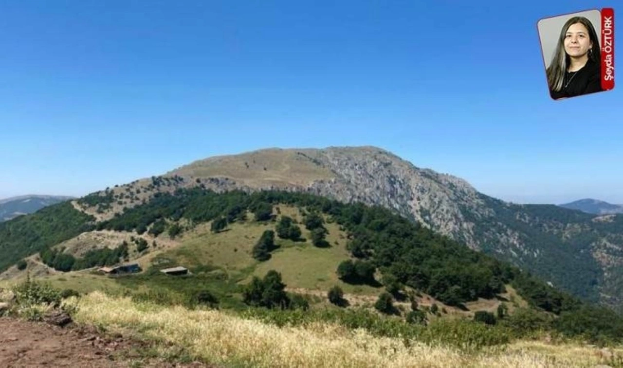 Samsun ve Amasya’da 37 rüzgâr türbini dikilecek