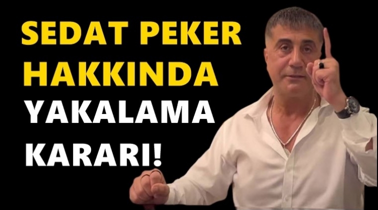 Sedat Peker hakkında yakalama kararı!