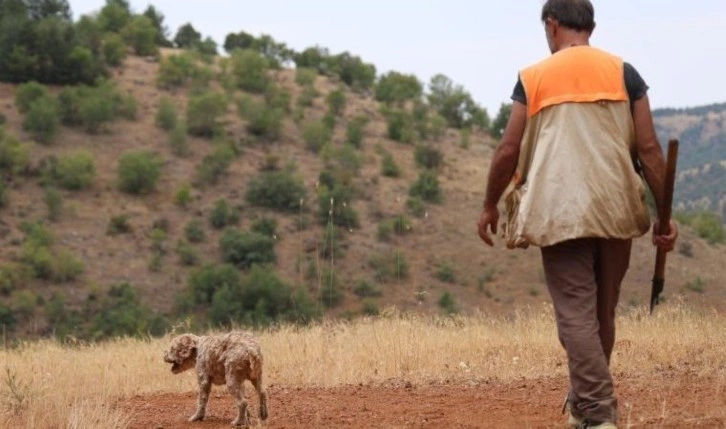 Şehir şehir gezerek ‘kara elmas' arıyor: Köpeği buluyor, kendisi satıyor! Dünyanın en pahalısı.