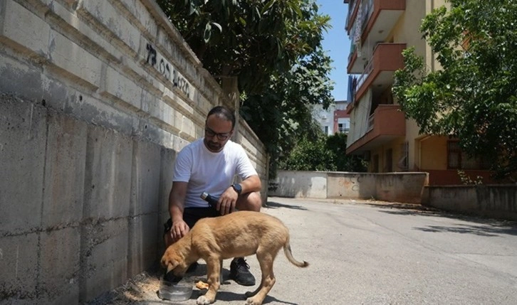 Sokak köpeğine şiddete şahit oldu, şikayetçi olamadı!