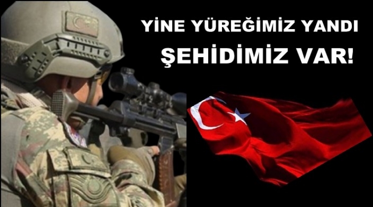 Yine ciğerimiz yandı!..