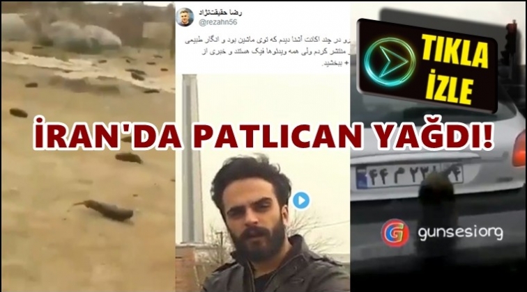 Tahran'da 'gökten patlıcan yağdı' iddiası