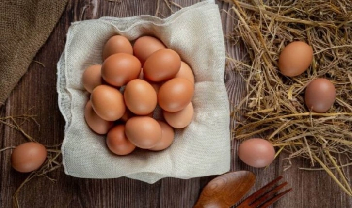 Tarım Bakanlığı'ndan  'ilaçlı yumurta' iddialarına yanıt