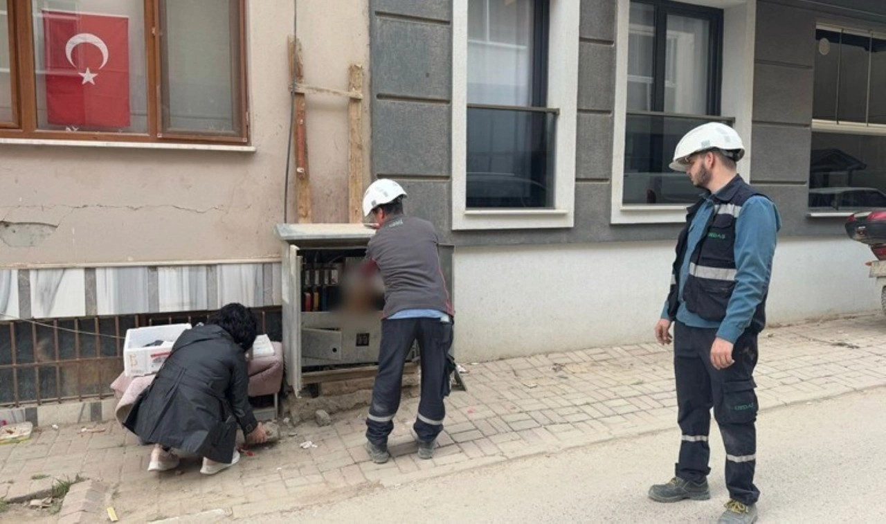 Trafoya giren kedi hayatını kaybetti: Kısa süreli elektrik kesintisi yaşandı