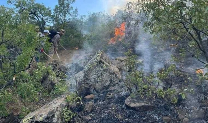 Tunceli’deki yangın kontrol altına alındı