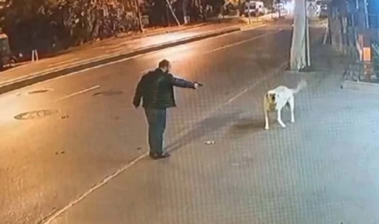 Üzerinde ruhsatsız tabanca da bulundu: Köpeğe silah doğrultan şahıs serbest bırakıldı