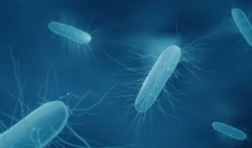 ABD'de 'listeria' bakterisi alarmı: 9 kişi öldü