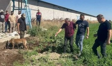 Adana'da kayıp olarak aranıyordu... Cesedi Konya'daki tarlada gömülü bulundu