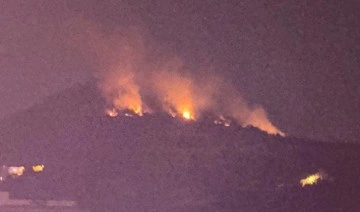 Adana'da orman yangını: Ekipler müdahale ediyor
