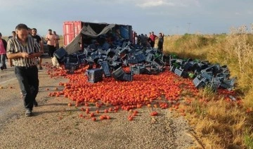 AKP'li Bakan çiftçi eylemlerinden CHP'yi sorumlu tuttu: 'İnsanları sokağa dökmeye çal