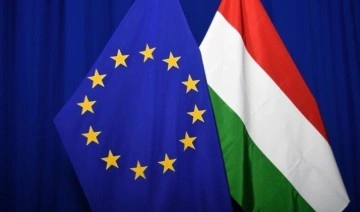 AP milletvekillerinden Macaristan çağrısı: 'Oy hakkı geri alınsın'