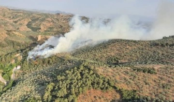 Aydın’da orman yangını: Havadan ve karadan müdahale ediliyor