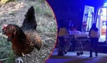 ‘Bahçeye tavuk girdi’ kavgasında 2 ölü, 1 yaralı!