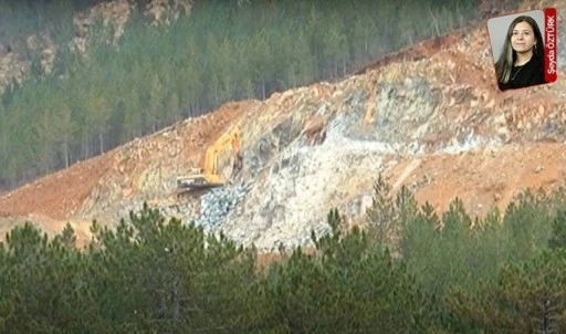 Bakanlık maden ocağına onay verdi: 7 bin ağaç kıyımı için ÇED bile gerekmiyormuş!