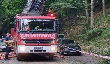 Belgrad Ormanı'nda park halindeki 2 otomobilin üzerine ağaç devrildi